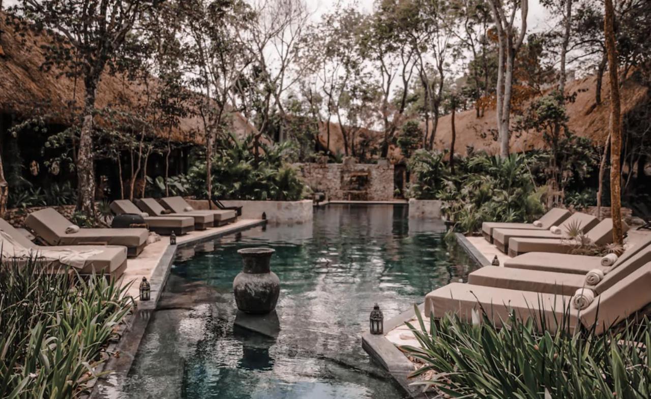 Vida Jungle Apart 1 With Special Fee To Access Hotel Bardo 툴룸 외부 사진