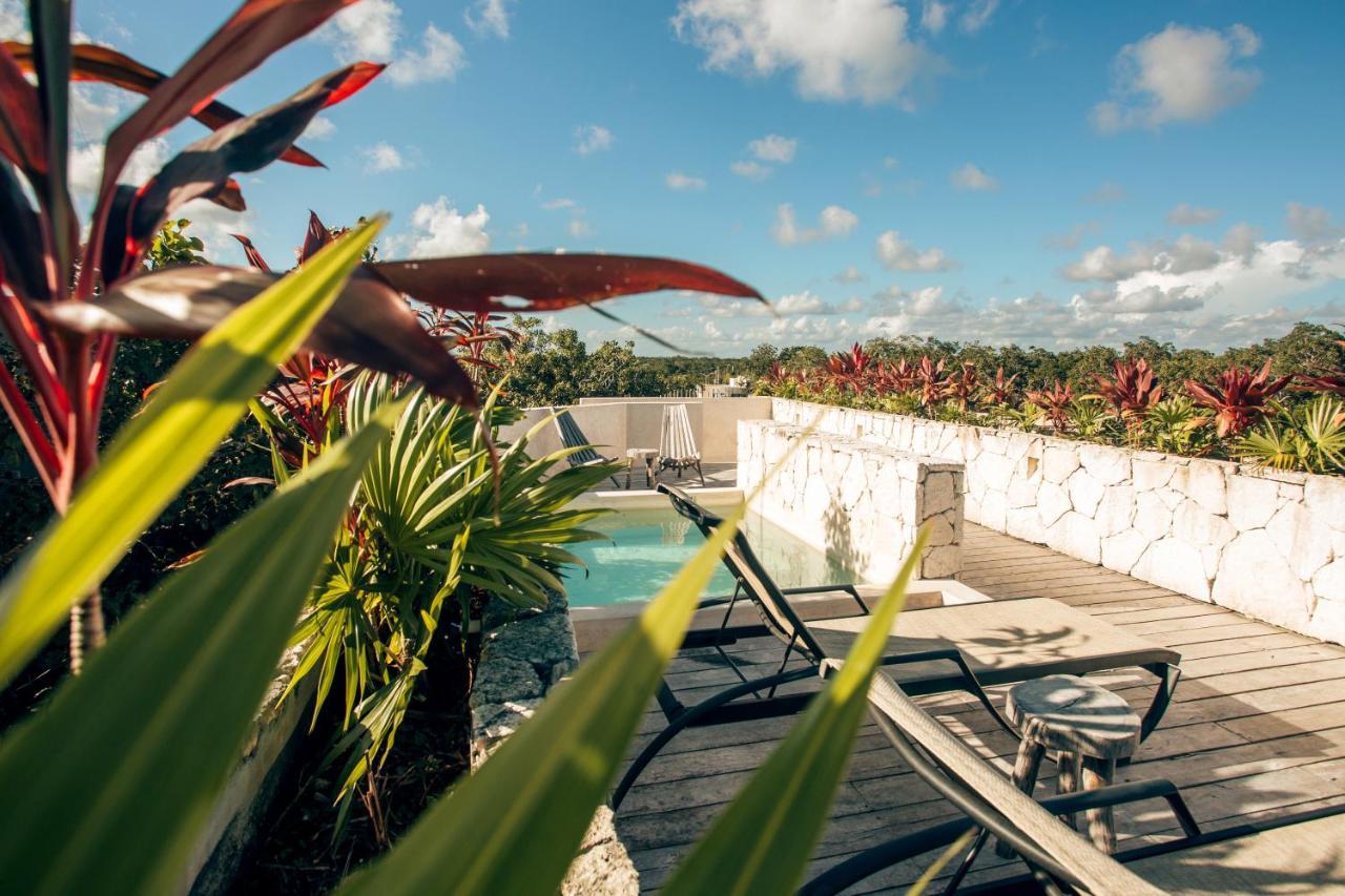 Vida Jungle Apart 1 With Special Fee To Access Hotel Bardo 툴룸 외부 사진